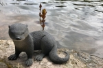 Otter-on-Otter-Lake_