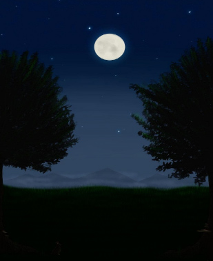 Otter Lake Landowners' Association (OLLA) » Night Skies